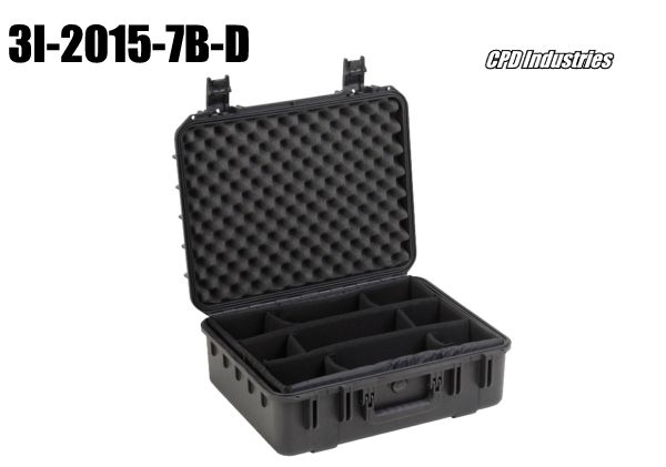 skb carrying case with padded dividers